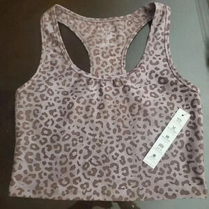 EVOLUTION AND CREATION TOP